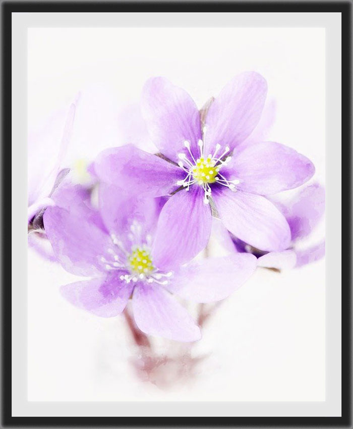 floral painting 1